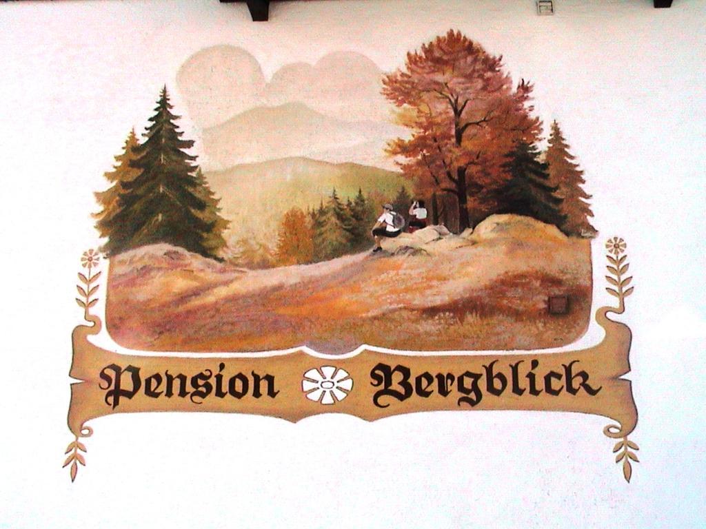 Pension Bergblick 拜尔里舍艾森施泰恩 外观 照片